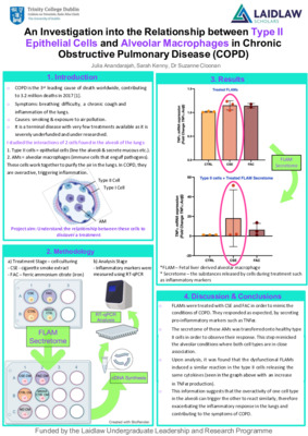 An Investigation into the Relationship between Type II Epithelial Cells and Alveolar Macrophages in Chronic Obstructive Pulmonary Disease (COPD)