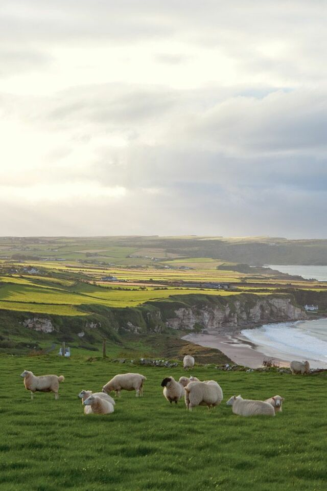 Summer 1 Research: Reflective Blog Post 