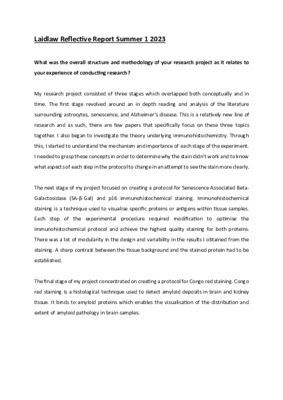 Summer 1 Reflective Report