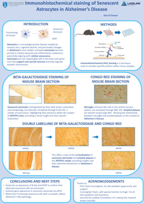Summer 1 Research Poster