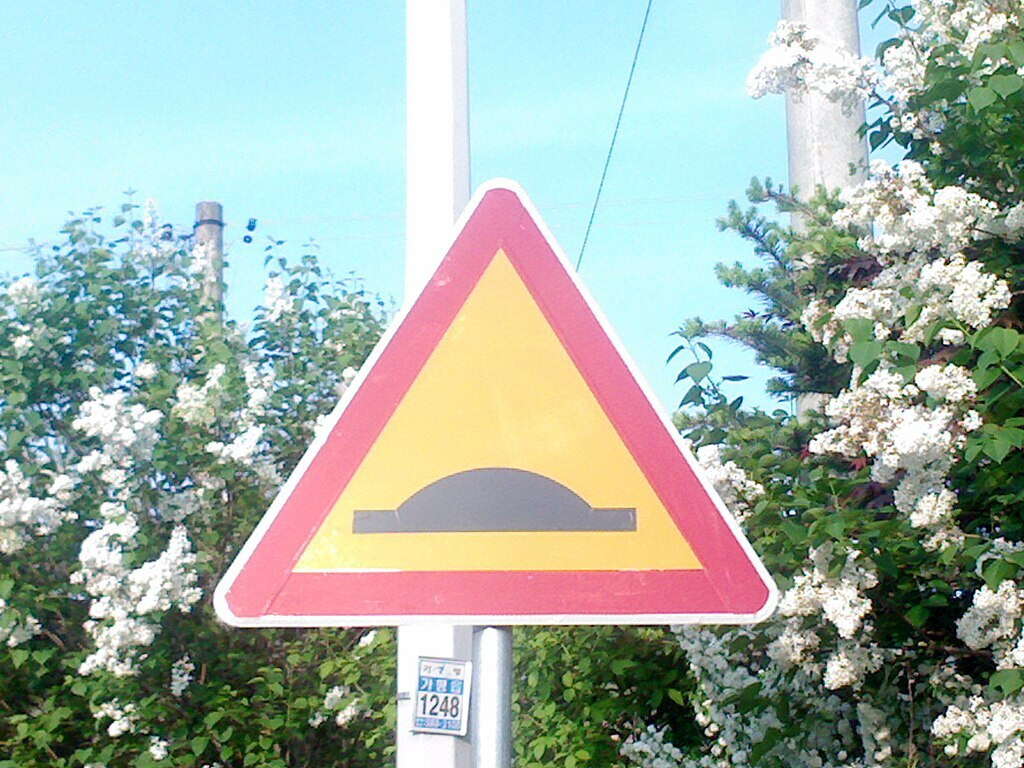 The Value of 'Speed Bumps' in the Research Process