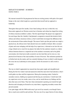 Reflective Report on Summer Research 2023