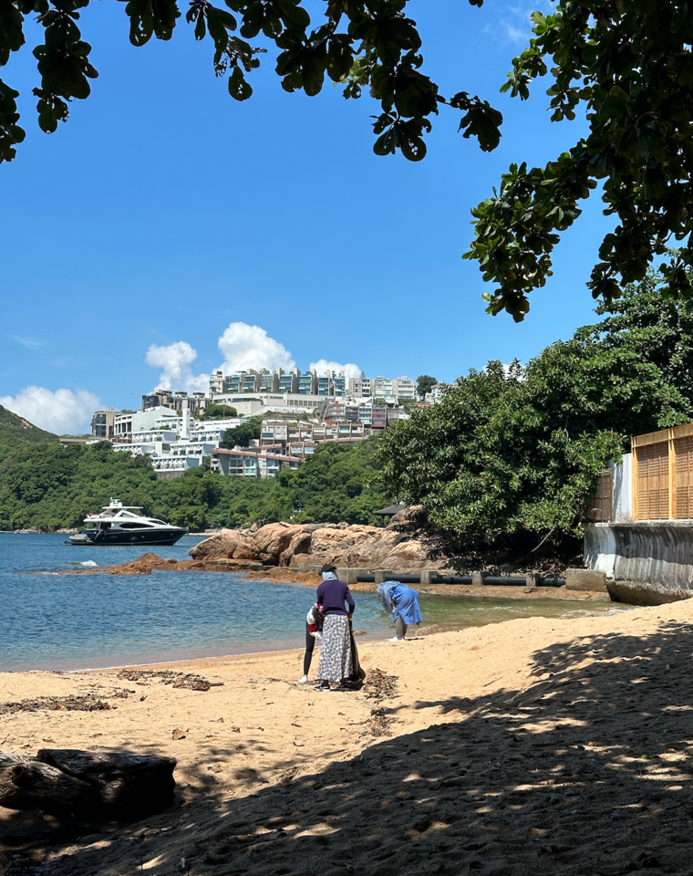 LiA Week 6: Cleansing Coasts