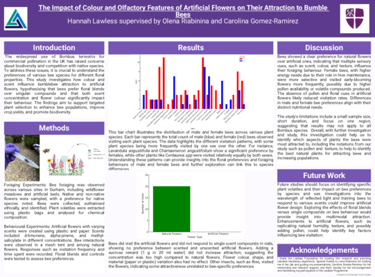 Laidlaw Bumble Bee Olfactory and Visual Attraction of Artificial Flowers Poster Poster