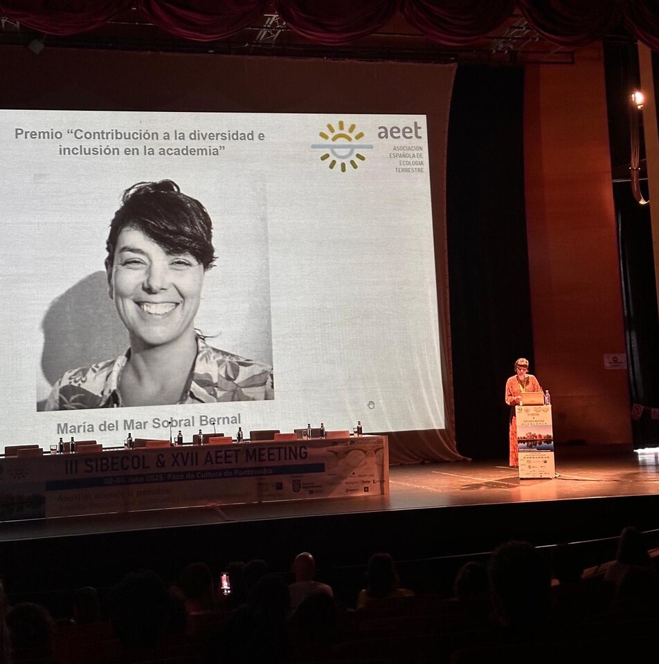 My acceptance speech for the Diversity and Inclusion in Academia Award