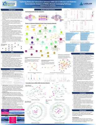 Exploring Molecular Interactions between SARS-CoV-2 Infection and Diabetes: Transcriptomic Analysis of PBMCs Reveals Converging Pathways