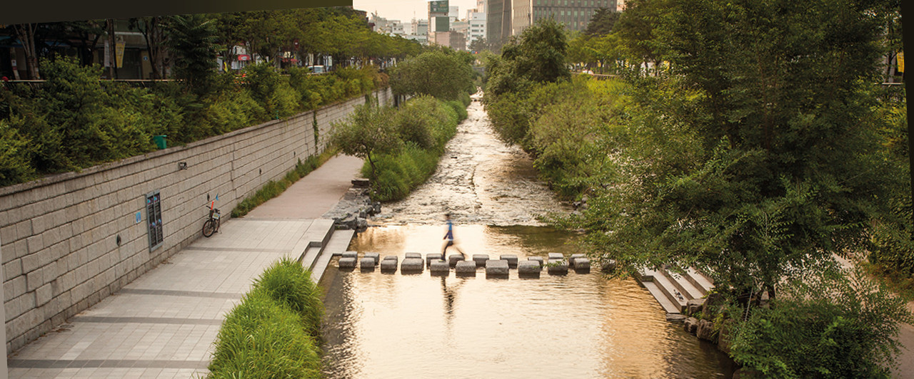 Welcome to our sustainability community