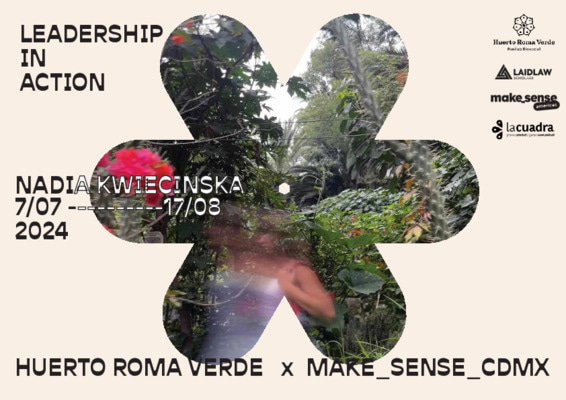 Report Blog _ Harvesting Wisdom from Huerto Roma Verde