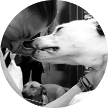 Go to the profile of Sabine Chourbaji