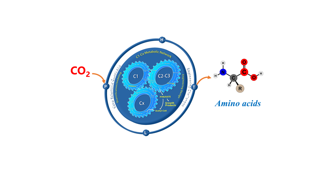 Turn air-derived CO2 as sustainable feedstock into amino acids