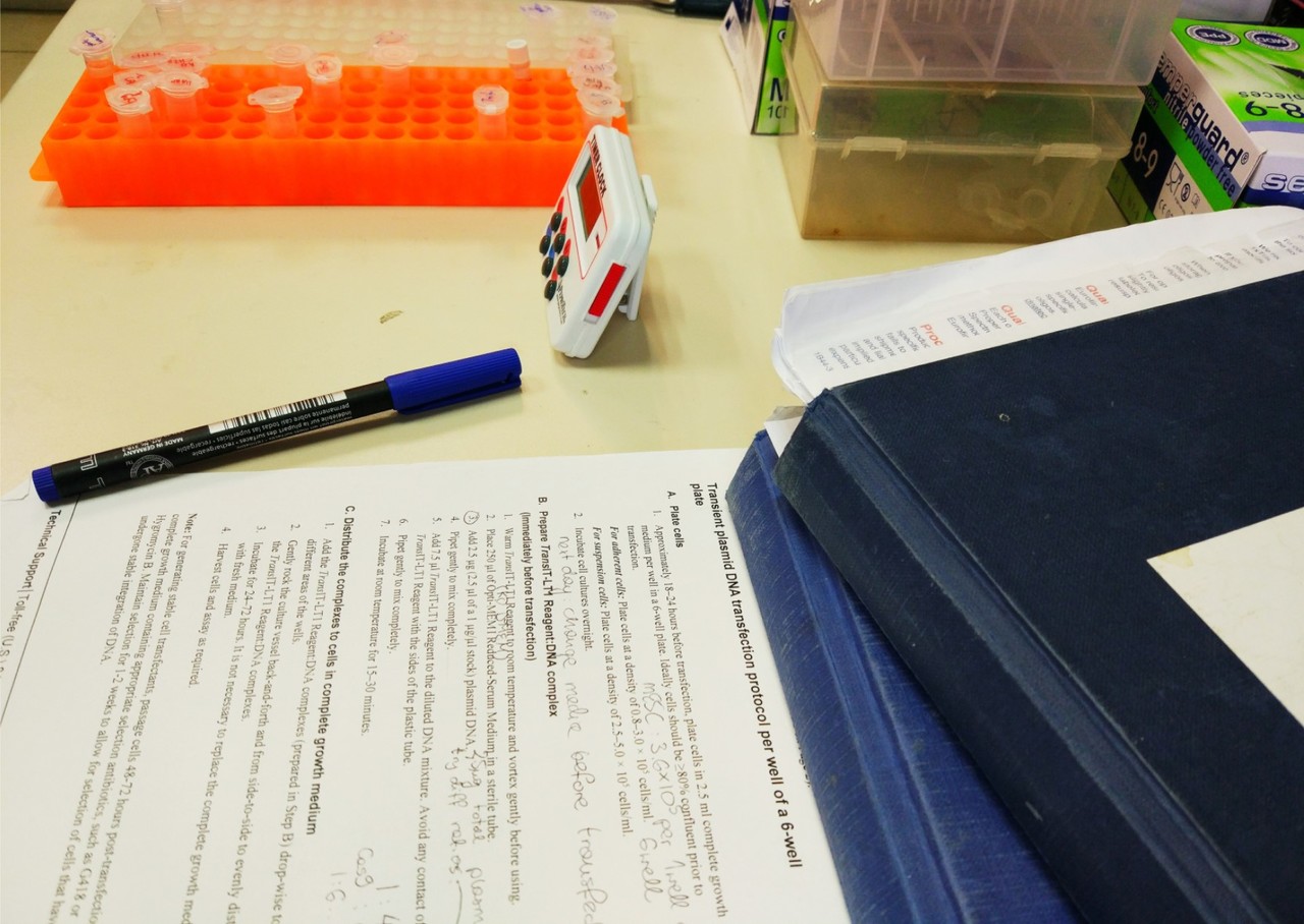 Preparing the next generation – How to be a good mentor to a new student at the lab