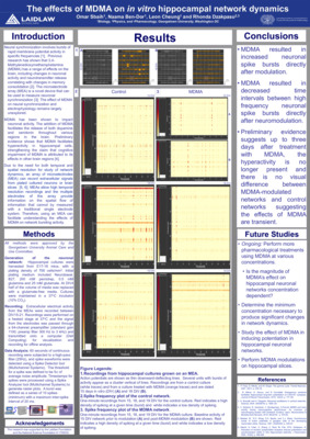 The effects of MDMA on in vitro hippocampal network dynamics