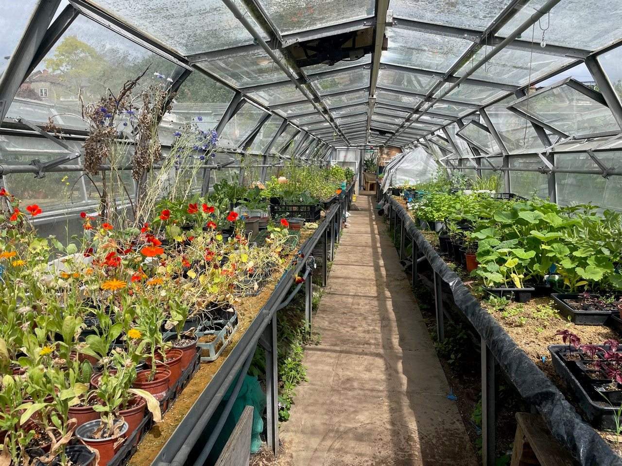 LiA Reflection 3: Community Agriculture at Wolves Lane Centre