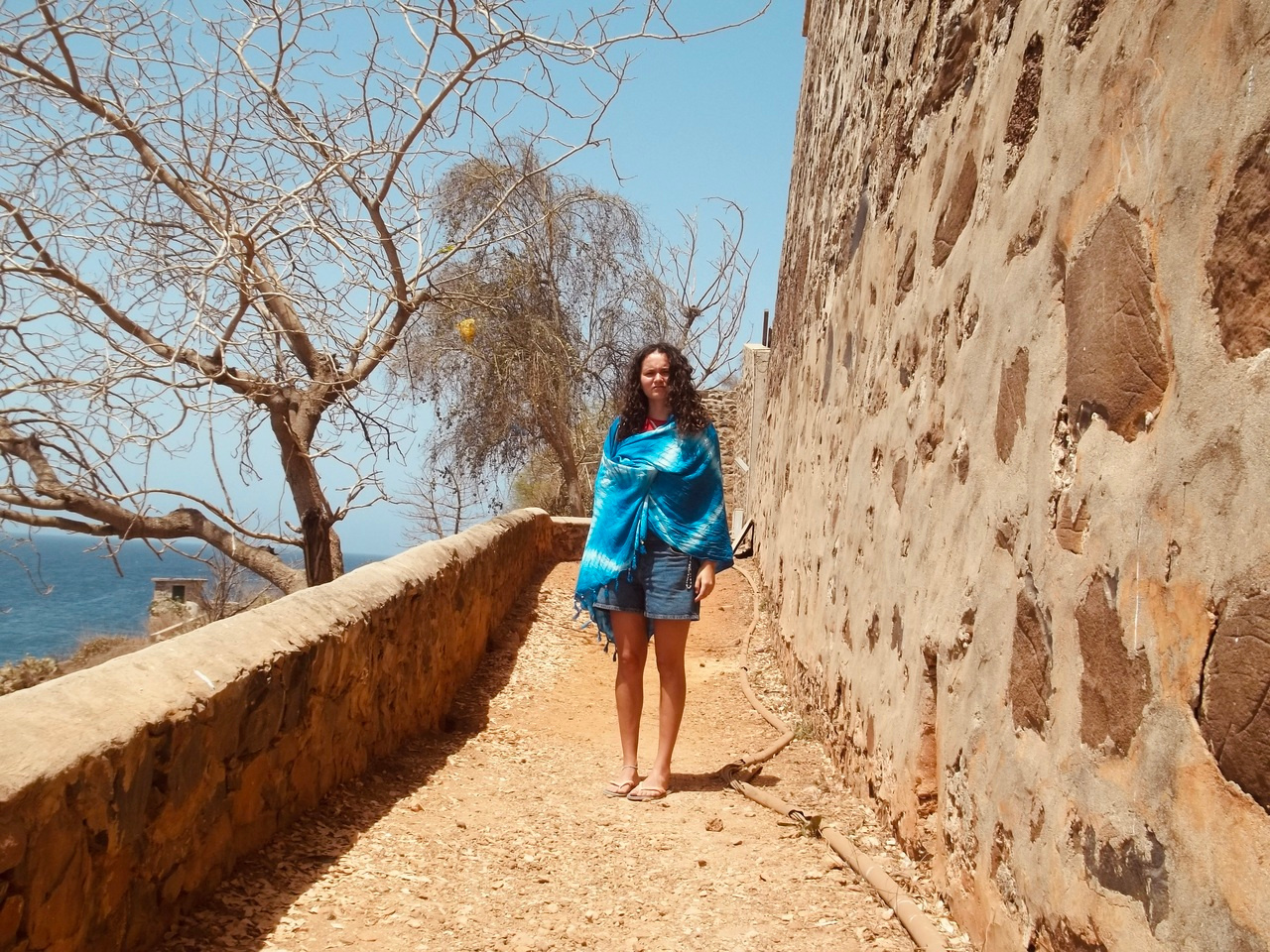 LiA Showcase: Working in Social Entrepreneurship in Senegal 