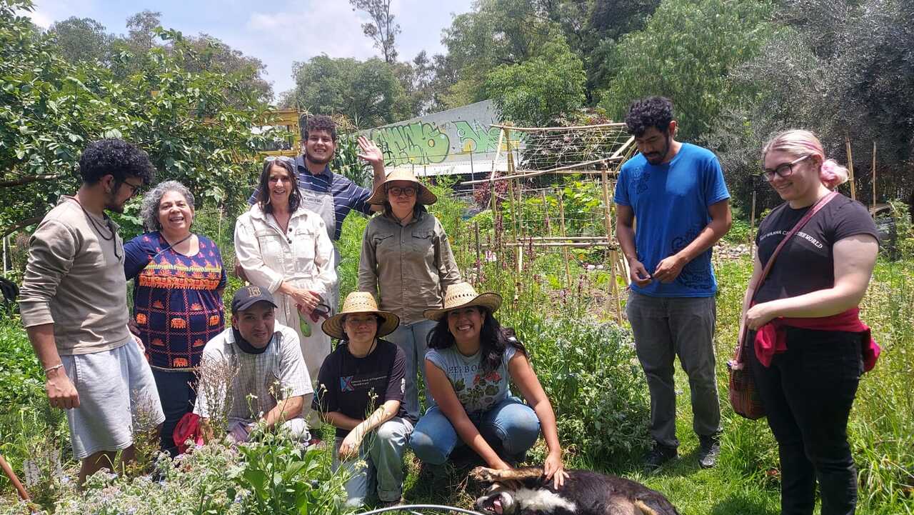 Here's what Mexico City taught me about B2B Marketing ! - an LiA Reflective Report 