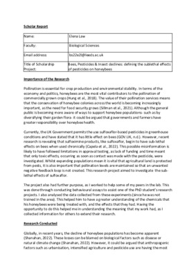 Bees, Pesticides & Insect Decline- Summer 2023 Report