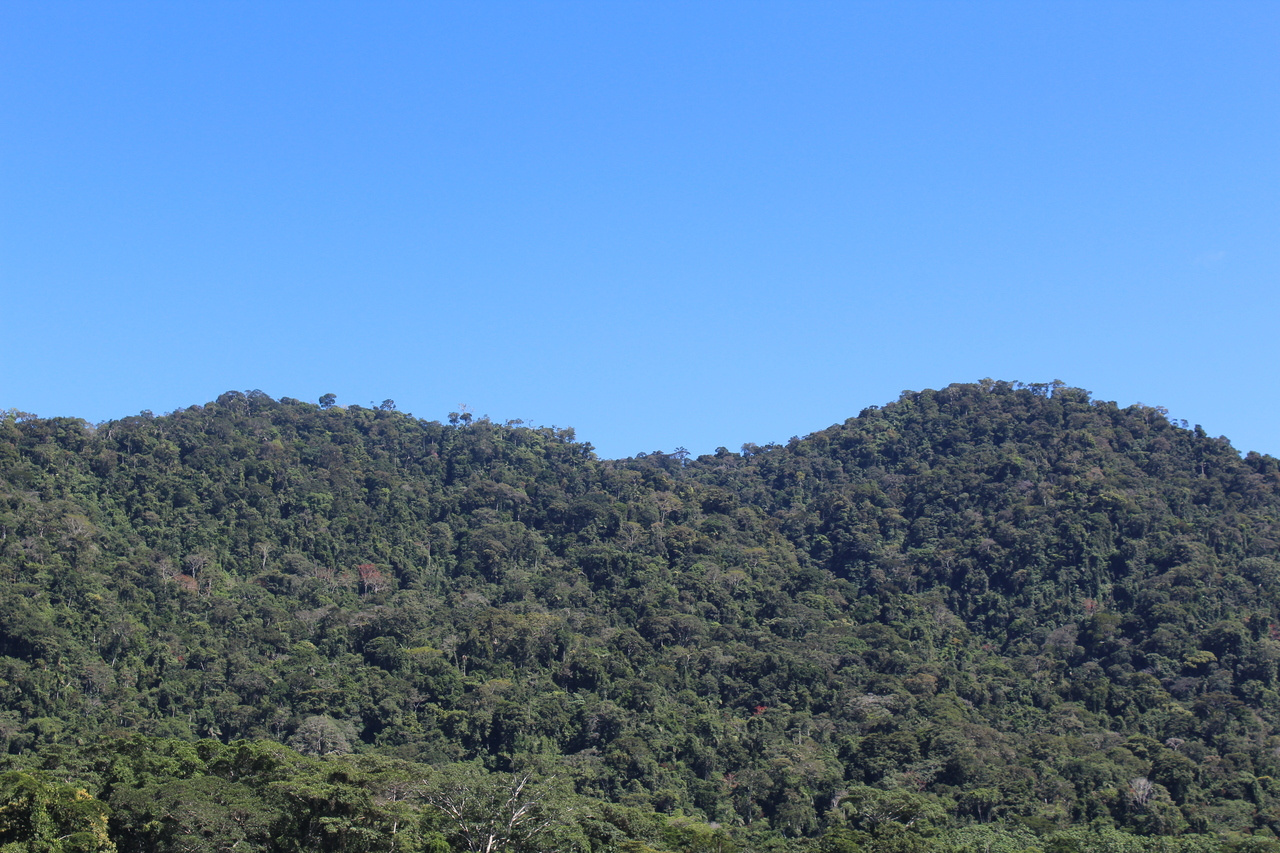 Back to Source: week one, part two