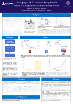 Erica Hahn Research Poster