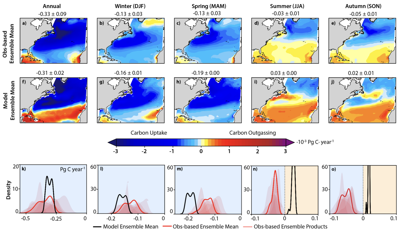 Benchmarking interannual air-sea carbon flux variability through the seasonal cycle 