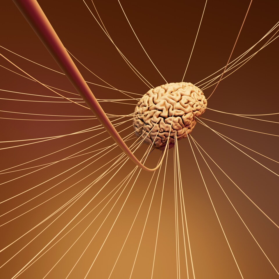 FEBS Junior Section present Marko Košiček