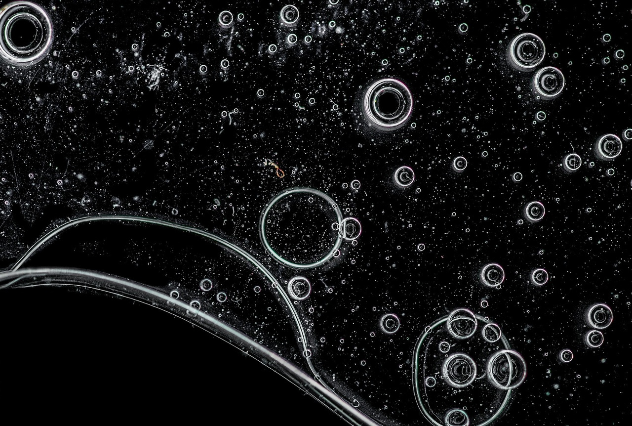 Meet Zsuzsánna Réthi-Nagy: FEBS Junior Section members' interview series