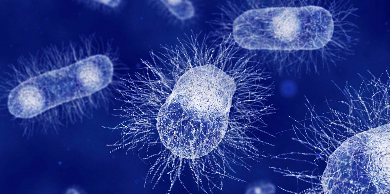 Top 100 in Microbiology from 2023 | Scientific Reports