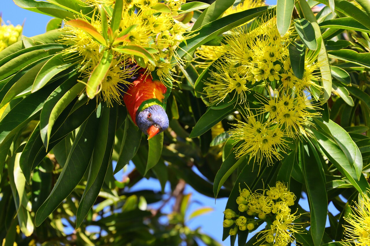 Host needed for our upcoming WildHub Social!