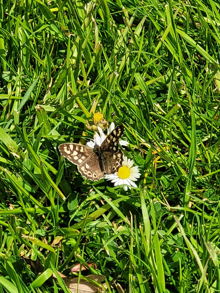 Hello! My name is Fleur