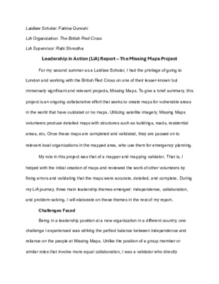 Leadership in Action Project Report