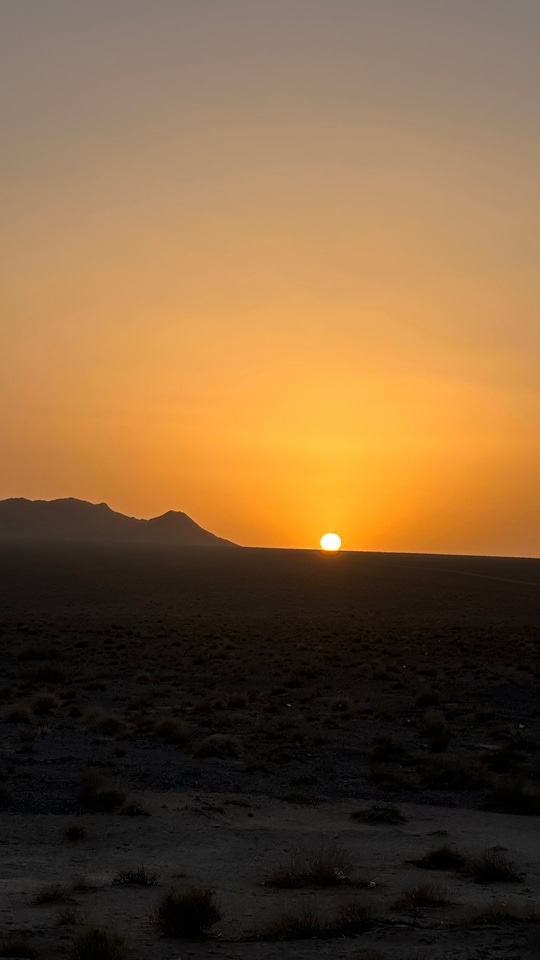A Reminder from Iran: When Conservation Becomes Too Dependent on Digital Connectivity