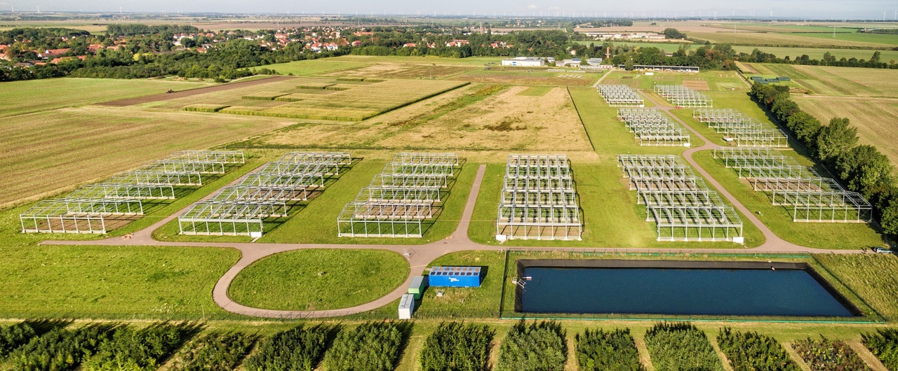 Extreme summers impact soil microbiomes