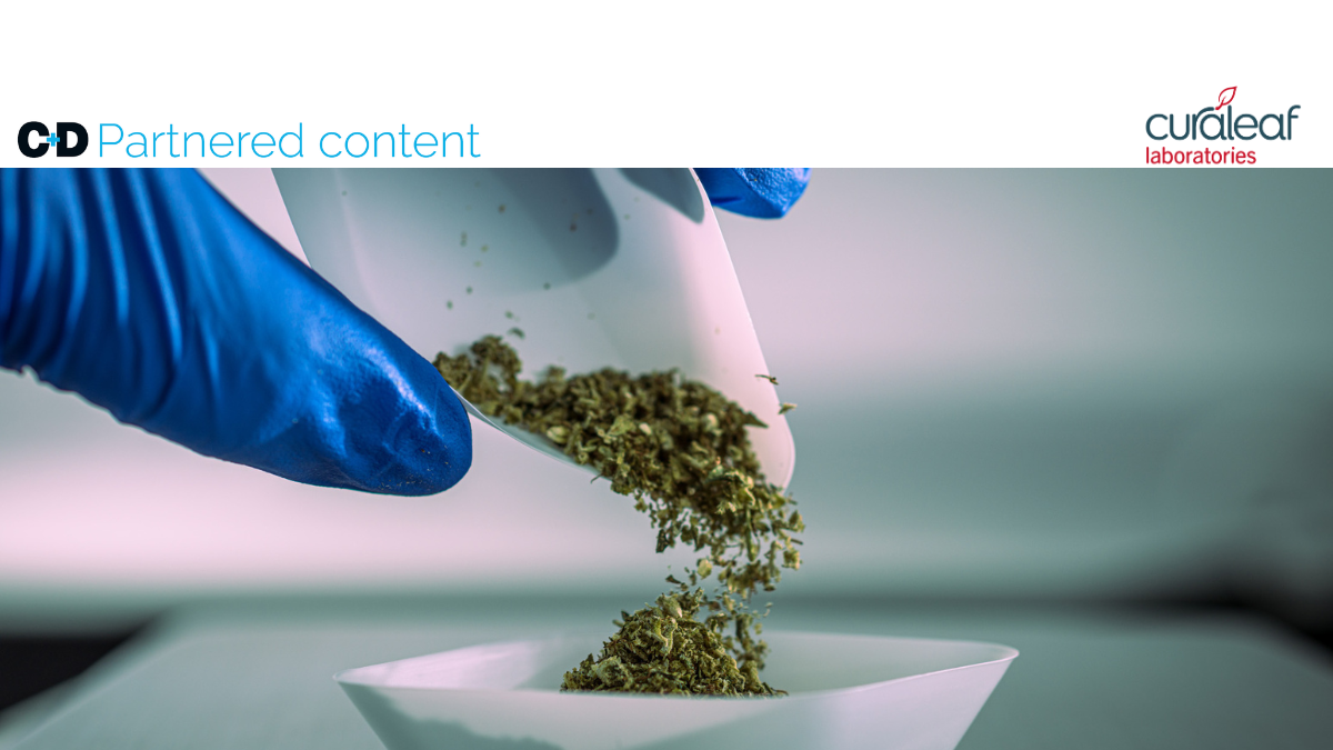 Pharmacy Cannabis Scheme with Curaleaf