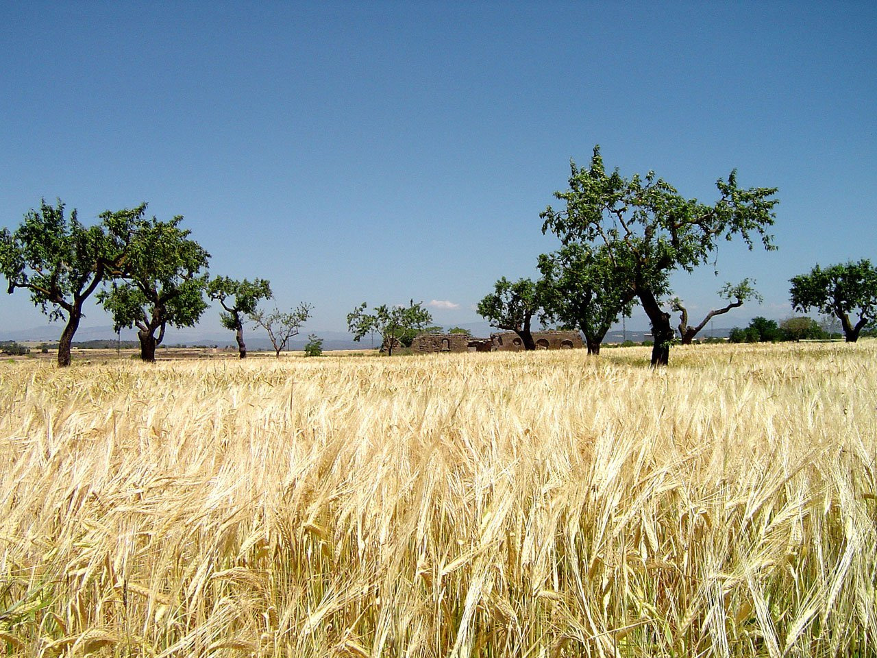 Journal Club | Can Antibiotics Treat Malnutrition?