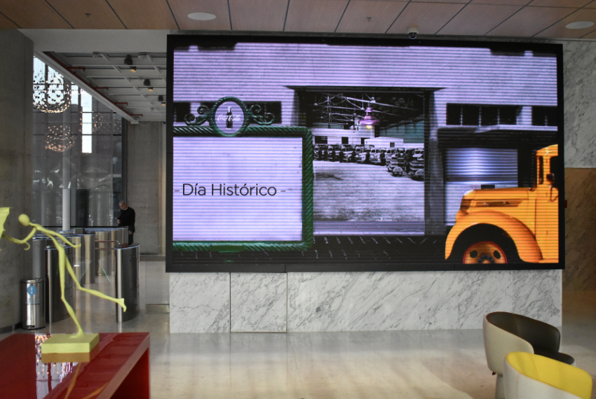 Despertando nuestros sentidos