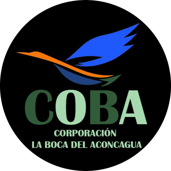 Go to the profile of Claudia Ibaceta