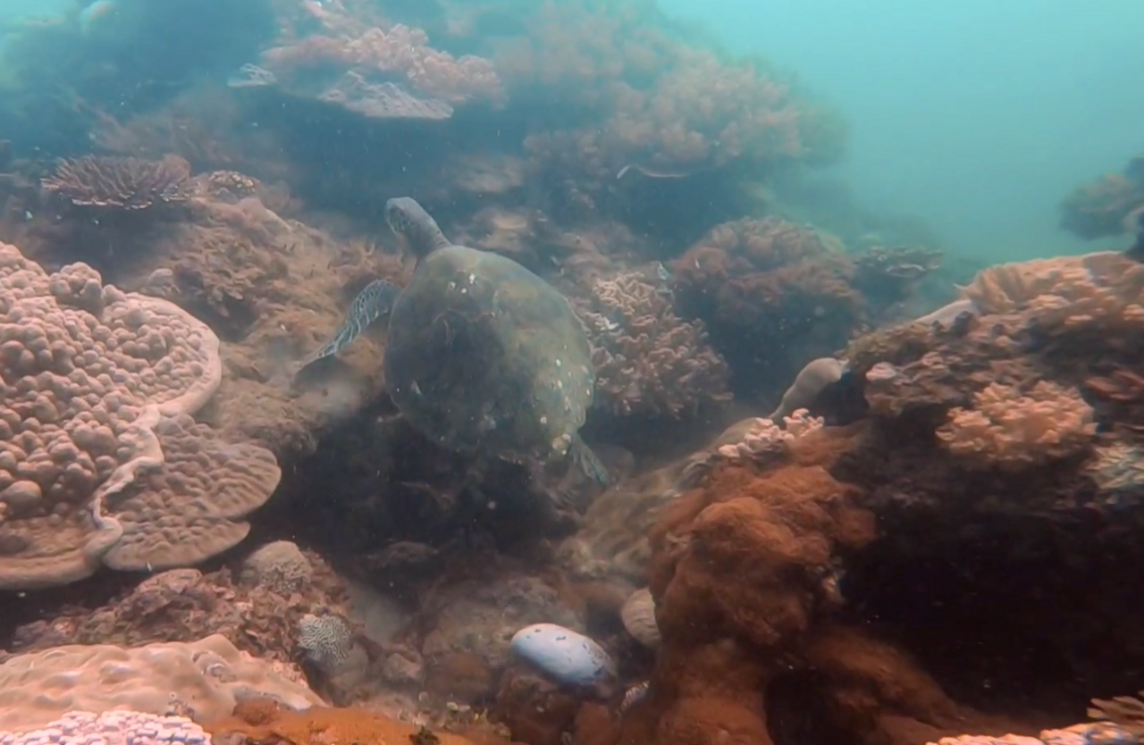 Hi from southern Africa