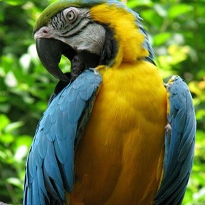 Go to the profile of Laura Meeker