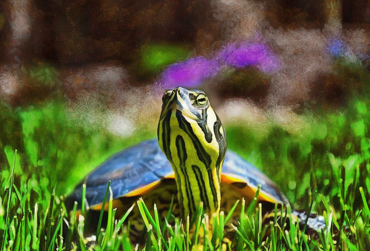 Seeking online herpetology credit courses w/ no prerequisites!