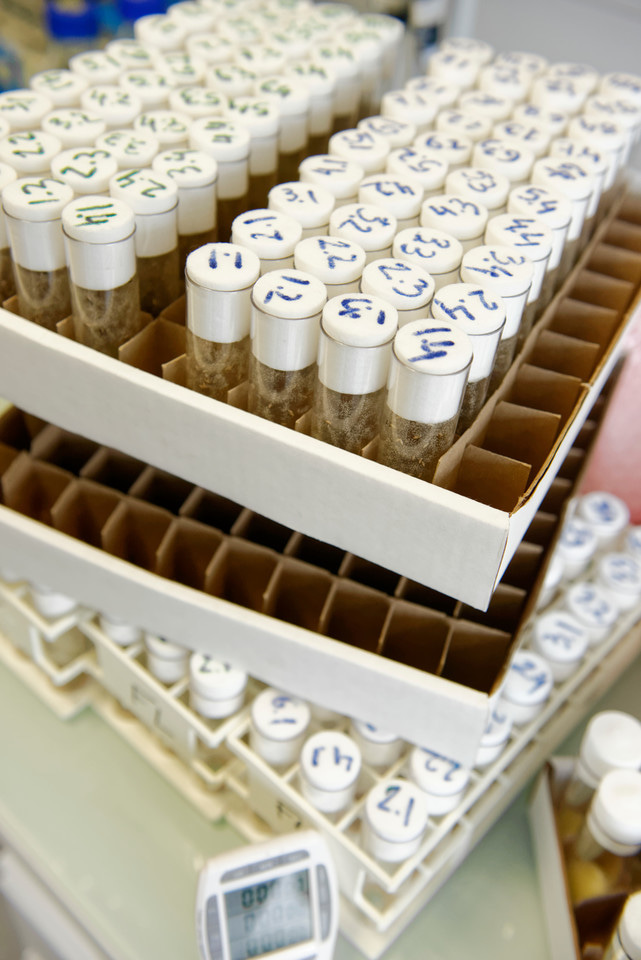 A microbiologist in new territory