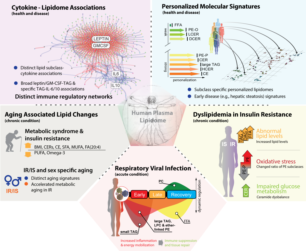 Towards Personalized Medicine and Disease Prevention: Completing the Molecular Puzzle of Multi-omics