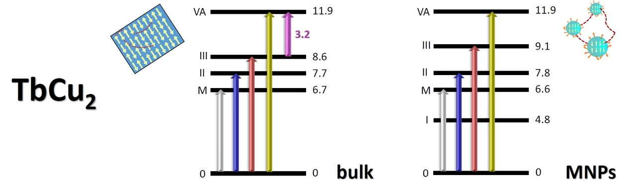 Magnetic super-structure and active surface role in the onset of magnetic excitons revealed in TbCu2 nanoparticles