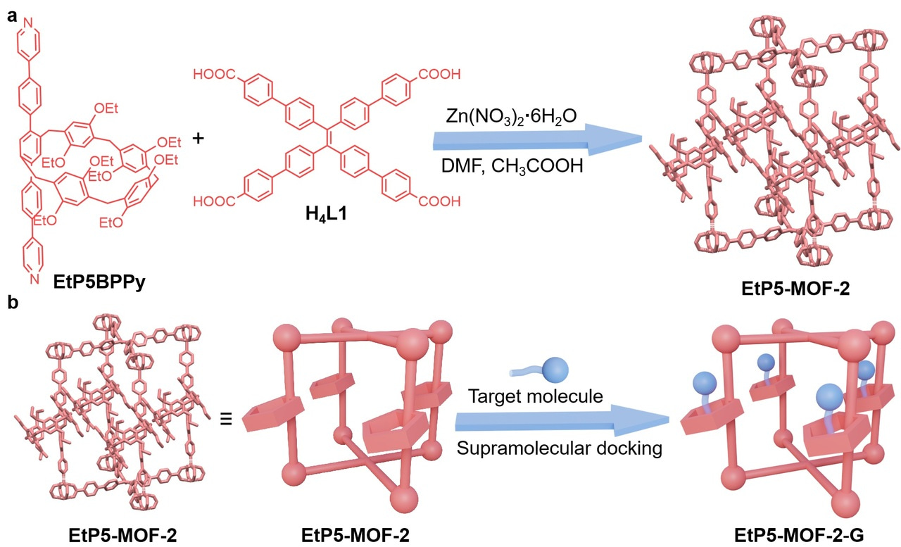 Supramolecular docking structure determination of alkyl-bearing molecules