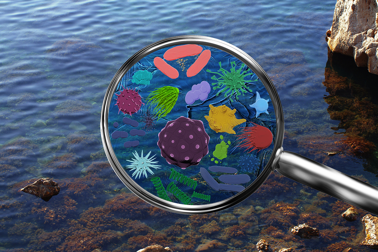 Introducing BMC Marine Science: a new community-driven journal in the BMC Series 