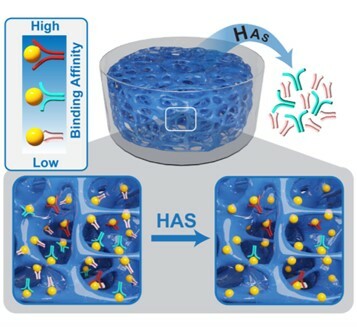 Finding “chemical antibodies” is no longer like finding a needle in a haystack