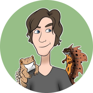 Go to the profile of Steve Allain