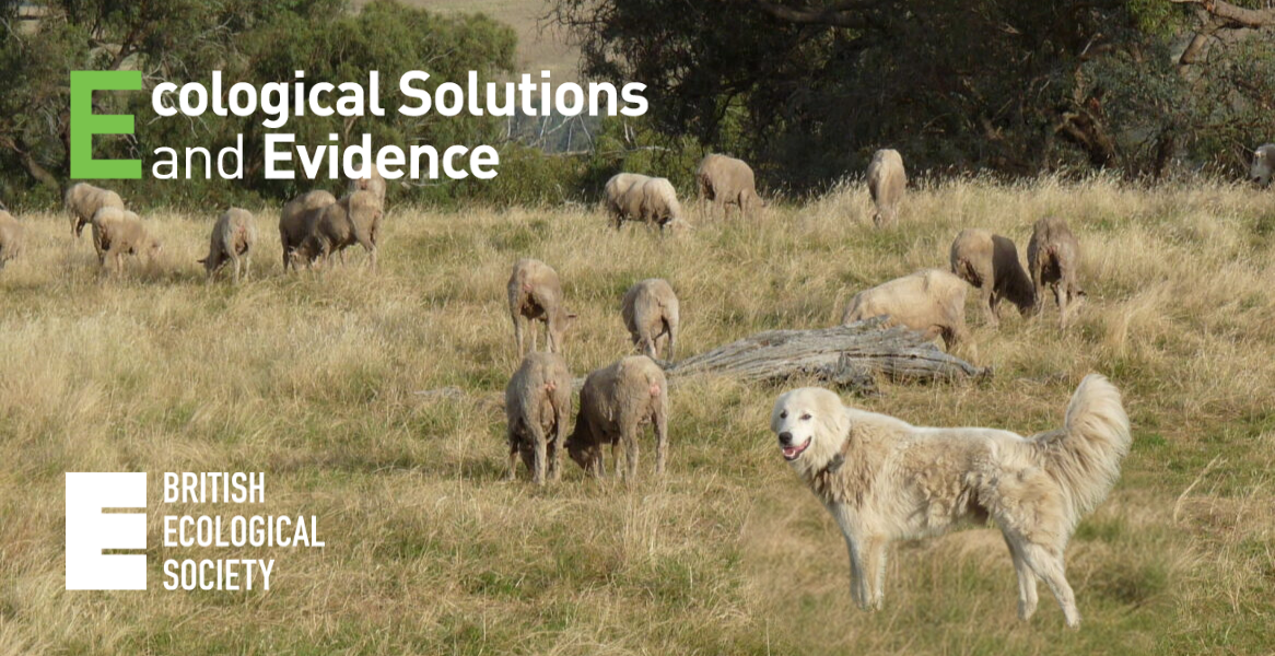 Opportunity: Practitioner Editor - Ecological Solutions and Evidence journal