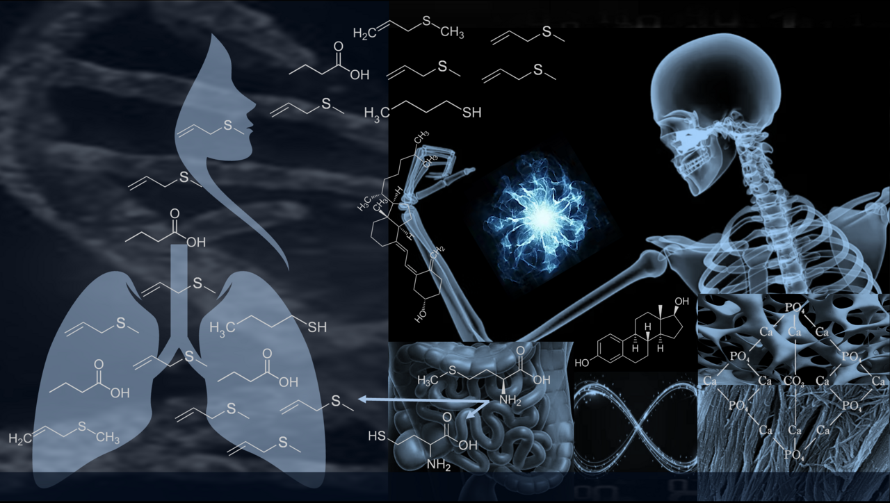 Exhaled metabolites revealed postmenopausal osteoporosis via gut-bone axis – an end of a beginning
