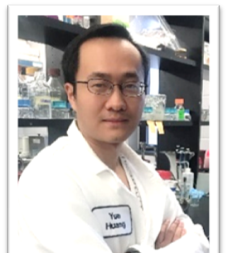 Go to the profile of Yue Huang