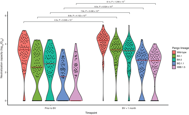 Omicron variant neutralizing antibodies following BNT162b2 BA.4/5 versus mRNA-1273 BA.1 bivalent vaccination in patients with end-stage kidney disease