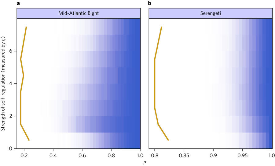 How species interact in species-rich communities - with themselves